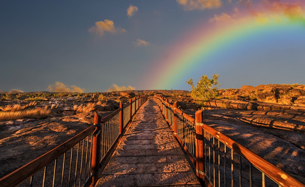 Ask a psychic about the best path