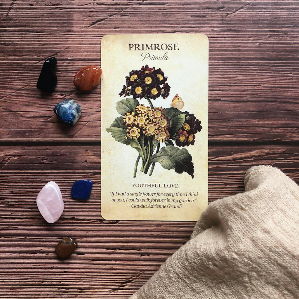 oracle card readings