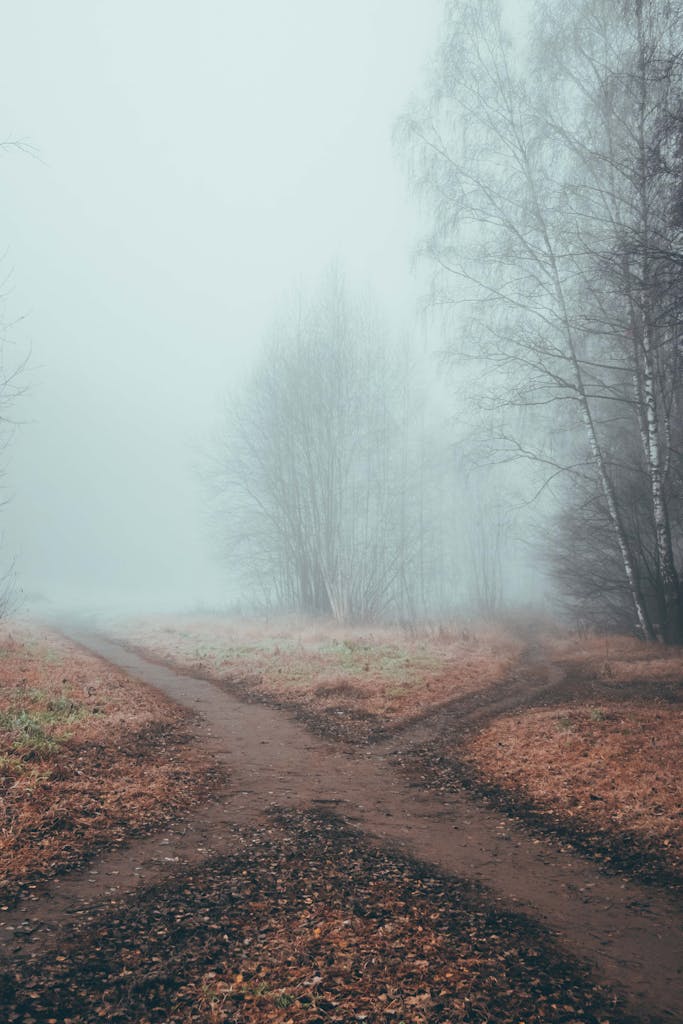 medium. Psychic vs medium readings lift the haze of indecision