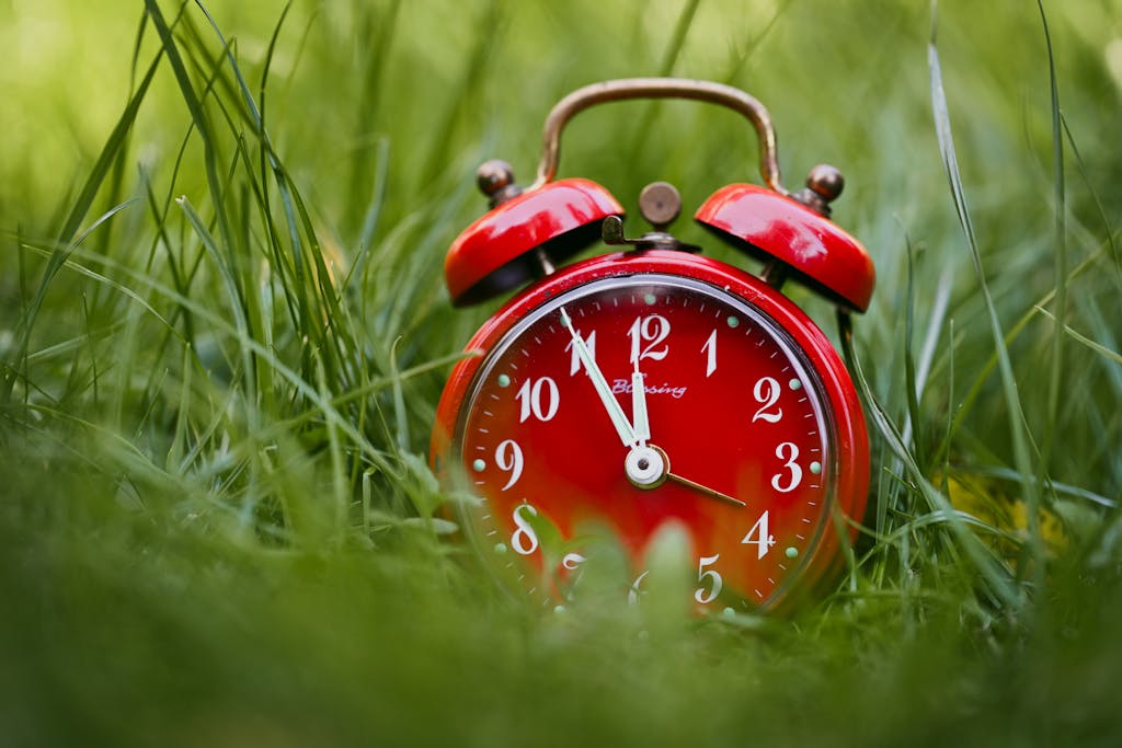 A vibrant red alarm clock rests in lush green grass, symbolizing urgency and nature.