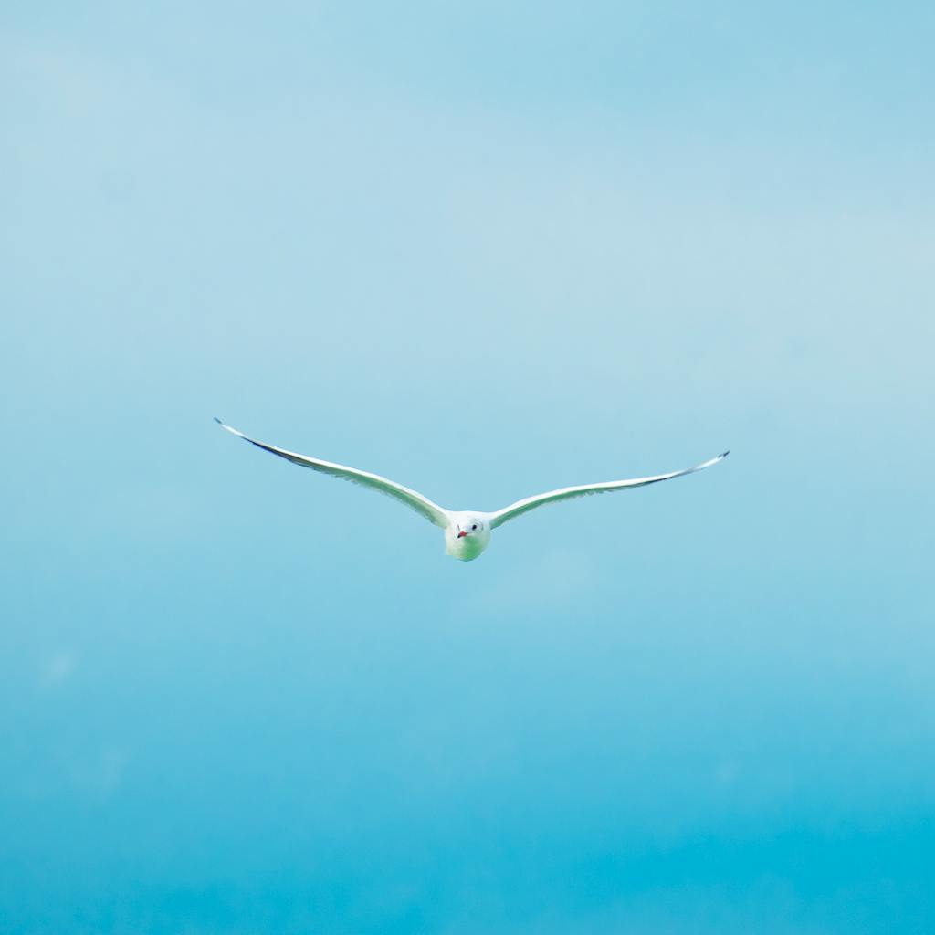 spiritual medium readings