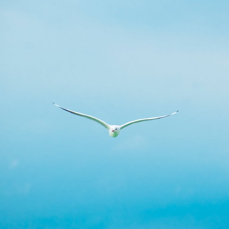 spiritual medium readings