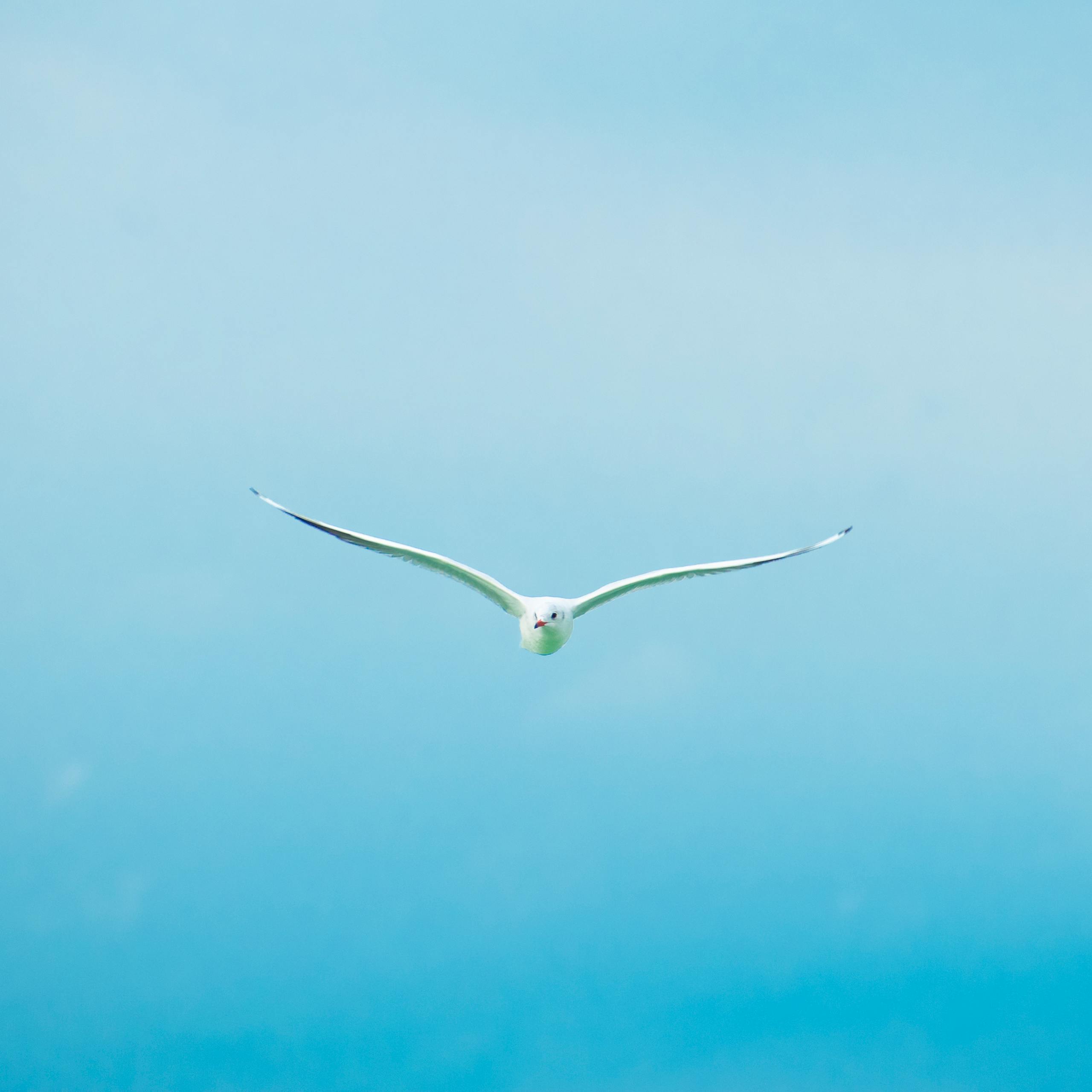 spiritual medium readings