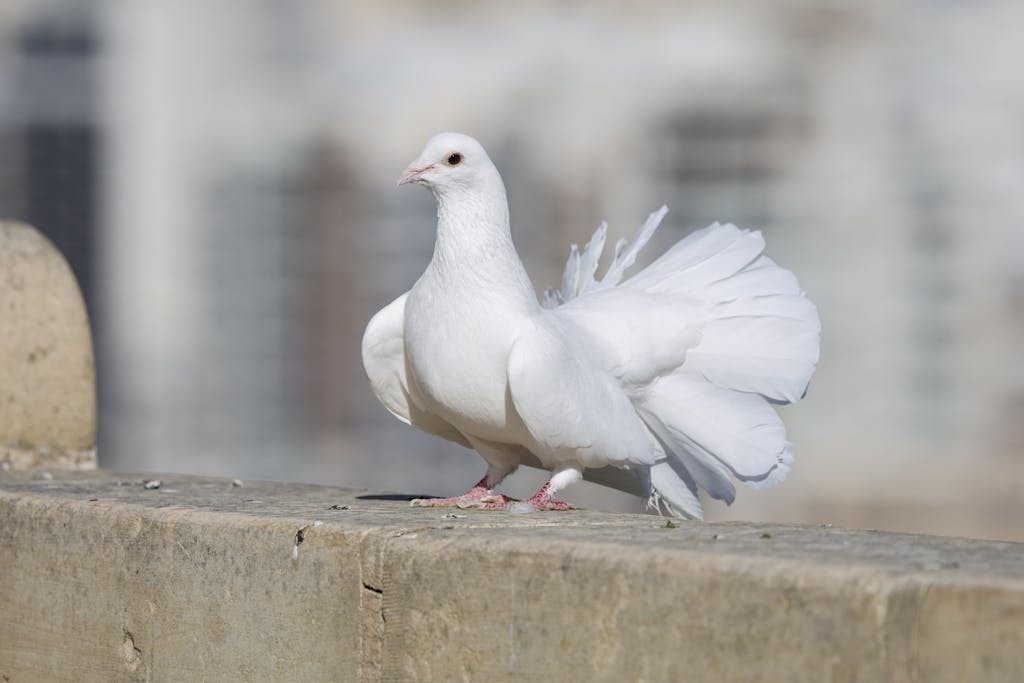 spiritual medium readings