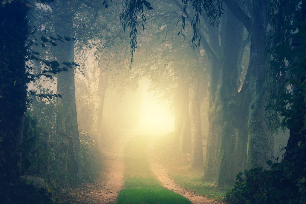 signs of being psychic