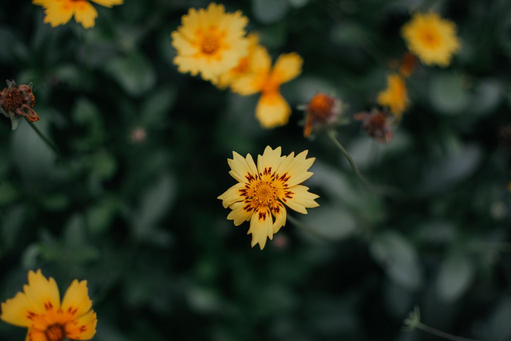 psychic development coaching